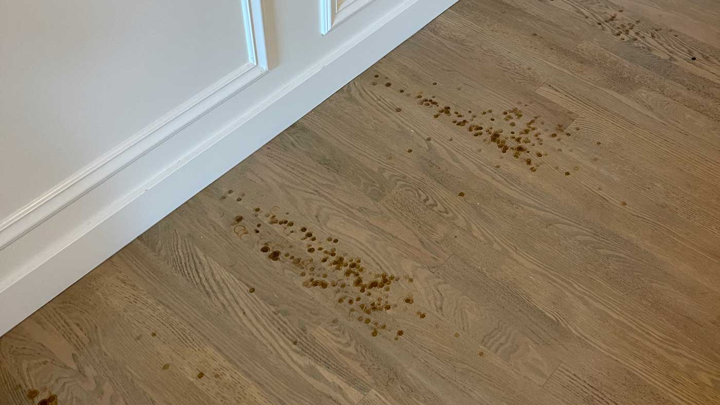 Protexting Wood Floor Finish. How plasticizers can impact your hard wood floors.